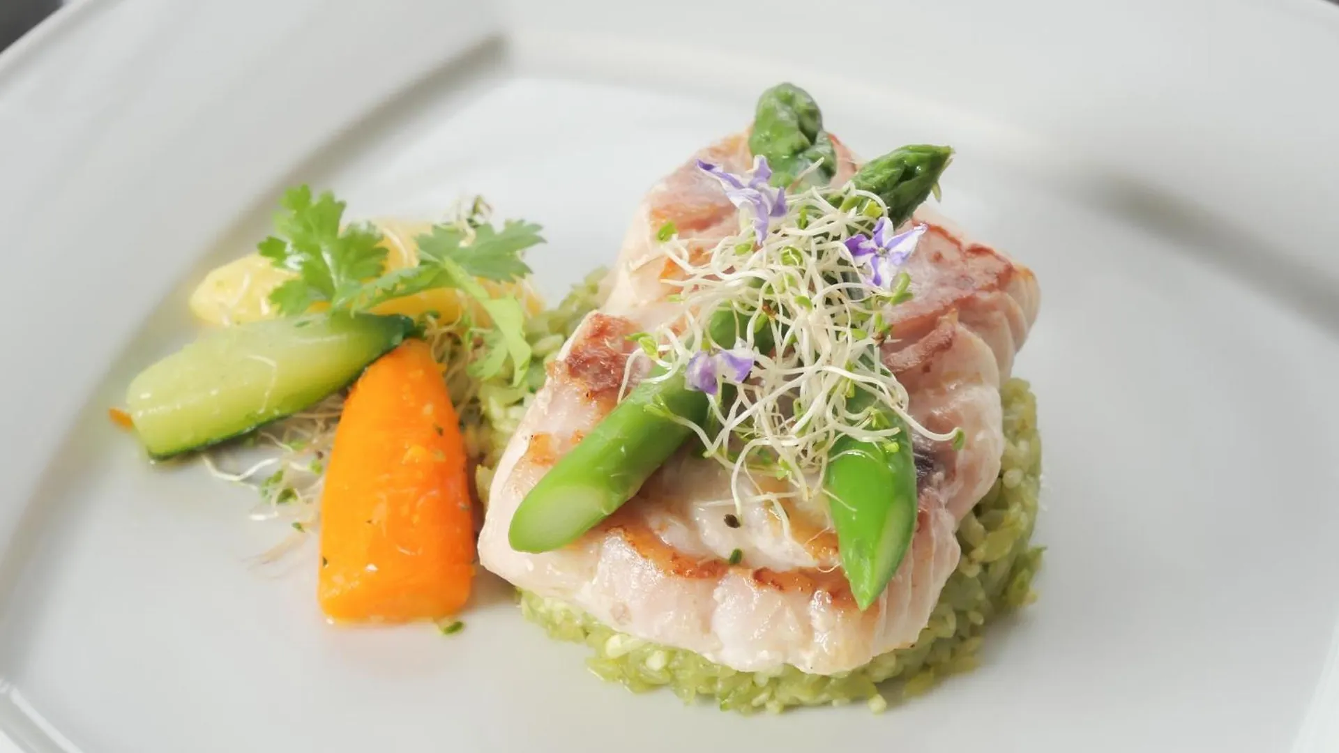 Barcelo Santo Domingo Hotel 5*,